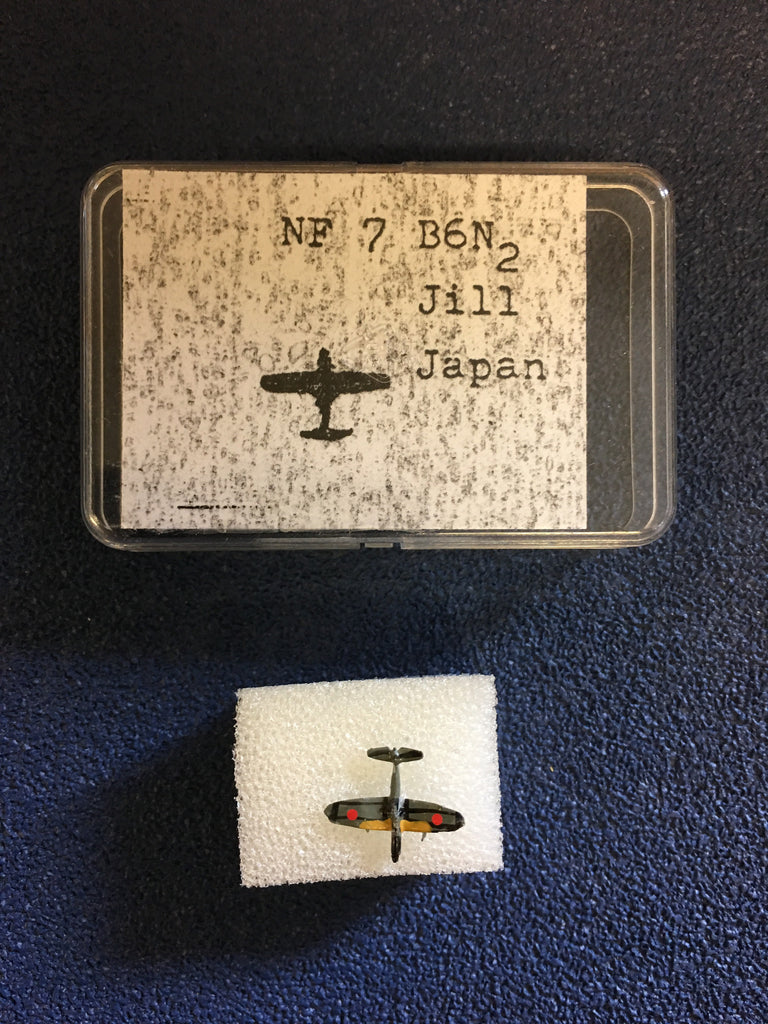 NF 07B B6N2 Jill painted