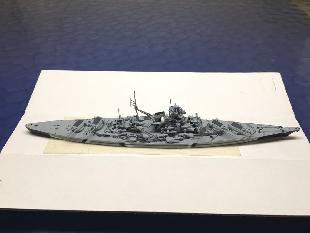 NE 1002T Bismarck (camouflage)