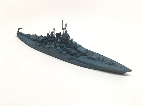 NE 1304AX California (MS-21 camouflage)