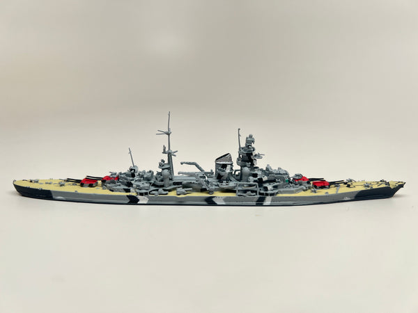 NE 1030AST Prinz Eugen 1945 with painted decks (camouflage)