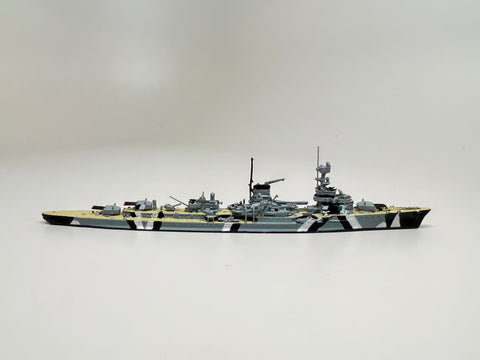 NE 1041TS Leipzig painted decks (camouflage)