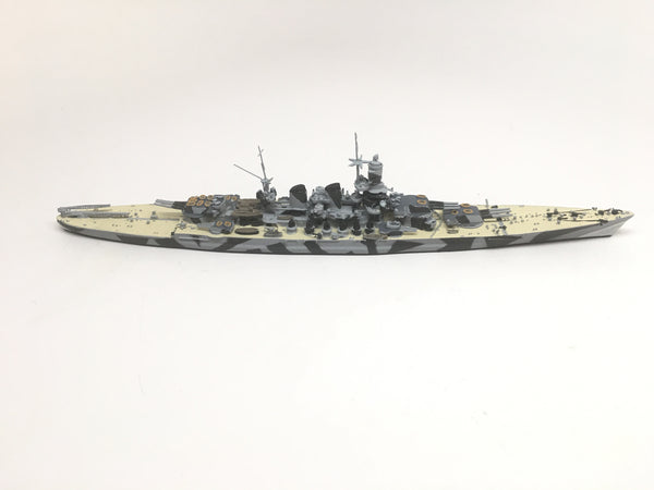 NE 1500TS Roma with painted decks (camouflage)