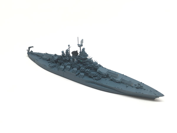 NE 1304X Tennessee (MS-21 camouflage)