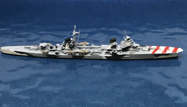 NE 1542T Montecuccoli (camouflage)