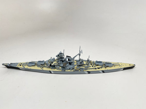 NE 1002TS Bismarck camouflage and painted decks