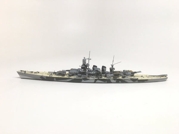 NE 1500TS Roma with painted decks (camouflage)