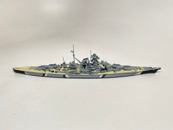 NE 1002TS Bismarck camouflage and painted decks