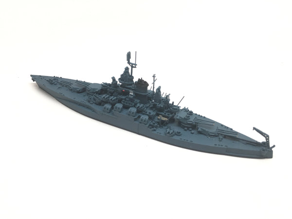 NE 1304X Tennessee (MS-21 camouflage)