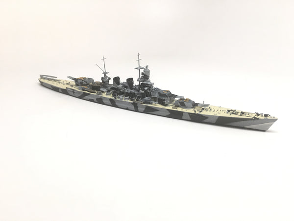 NE 1500TS Roma with painted decks (camouflage)