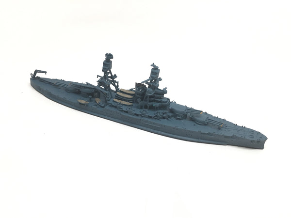 NE 1306X Arizona (MS 21 camouflage)