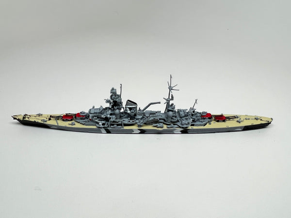NE 1030AST Prinz Eugen 1945 with painted decks (camouflage)