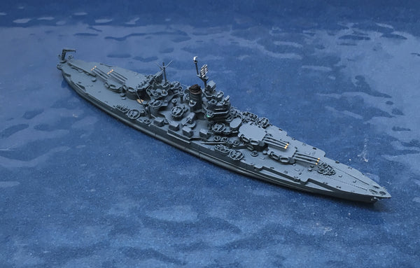 NE 1305X Idaho (MS-21 camouflage)