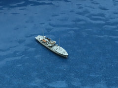 ALK 021 Eider