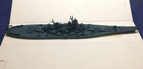 NE 1300BX New Jersey (MS-21 camouflage)