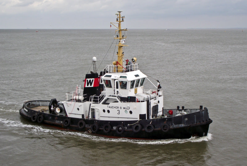 INT 41 Taucher Otto Wulf 3