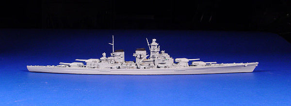 NE 1000 H Class