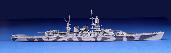 NE 1500T Roma (camouflage)