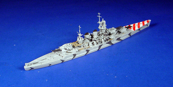 NE 1501T Littorio (camouflage)